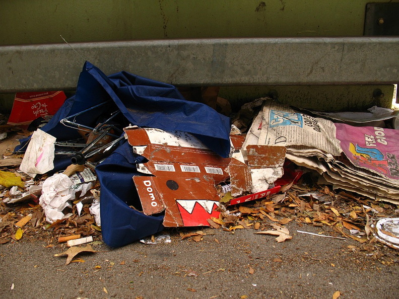 Discarded Umbrella Carcasses, NYC