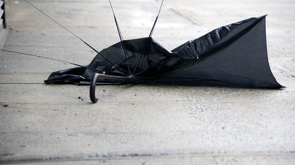 Discarded Umbrella Carcasses, NYC