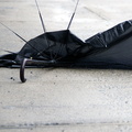 Discarded Umbrella Carcasses, NYC