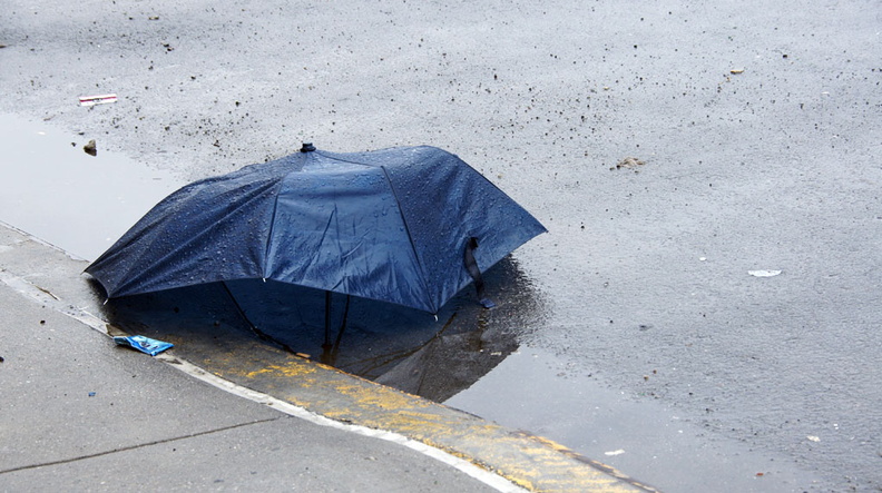 Discarded Umbrella Carcasses, NYC