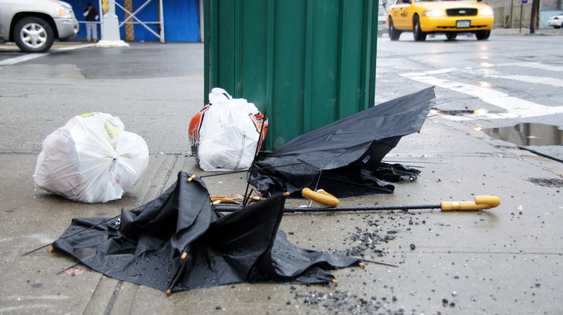 Discarded Umbrella Carcasses, NYC