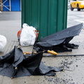 Discarded Umbrella Carcasses, NYC