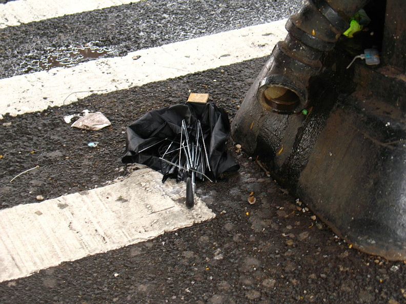 Discarded Umbrella Carcasses, NYC