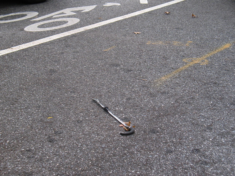 Discarded Umbrella Carcasses, NYC