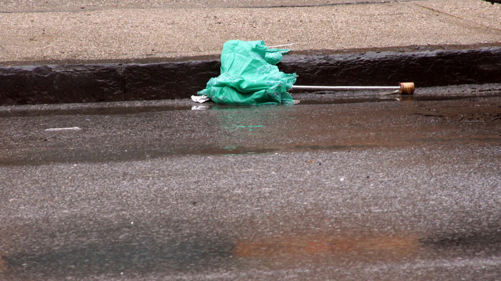 Discarded Umbrella Carcasses, NYC