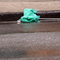 Discarded Umbrella Carcasses, NYC