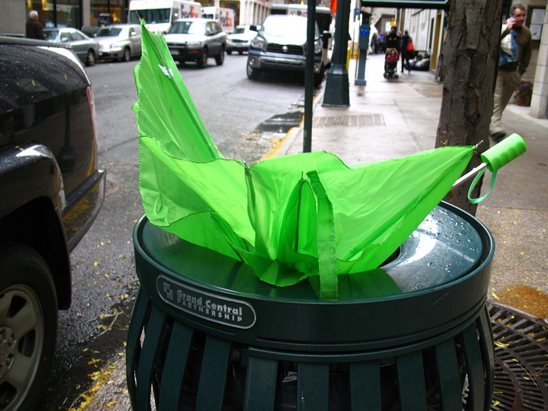 Discarded Umbrella Carcasses, NYC