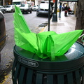 Discarded Umbrella Carcasses, NYC