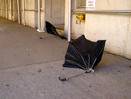 Discarded Umbrella Carcasses, NYC