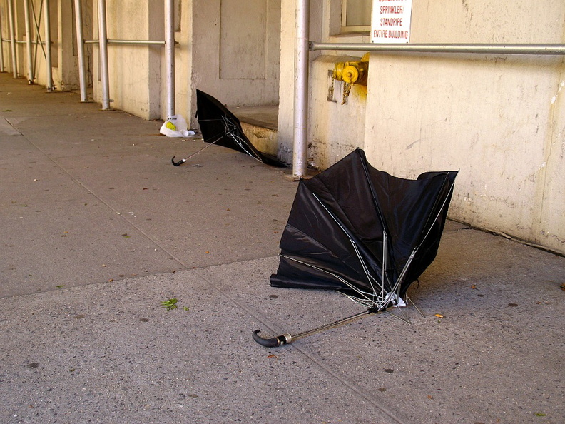 Discarded Umbrella Carcasses, NYC