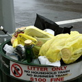 Discarded Umbrella Carcasses, NYC