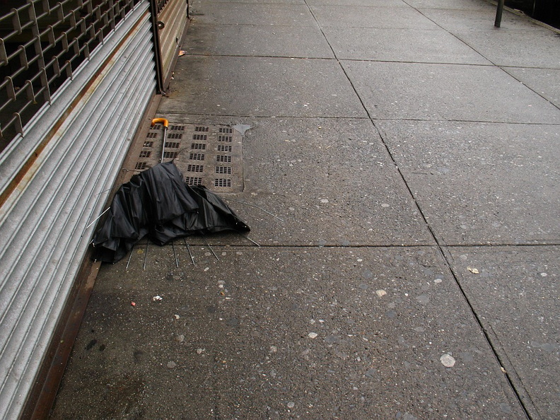 Discarded Umbrella Carcasses, NYC