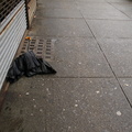 Discarded Umbrella Carcasses, NYC