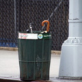 Discarded Umbrella Carcasses, NYC