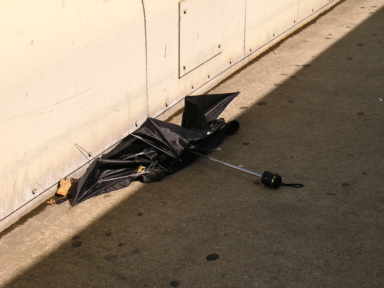 Discarded Umbrella Carcasses, NYC