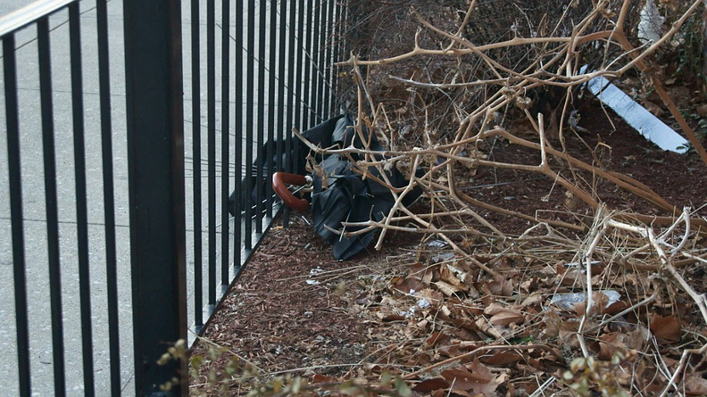 Discarded Umbrella Carcasses, NYC