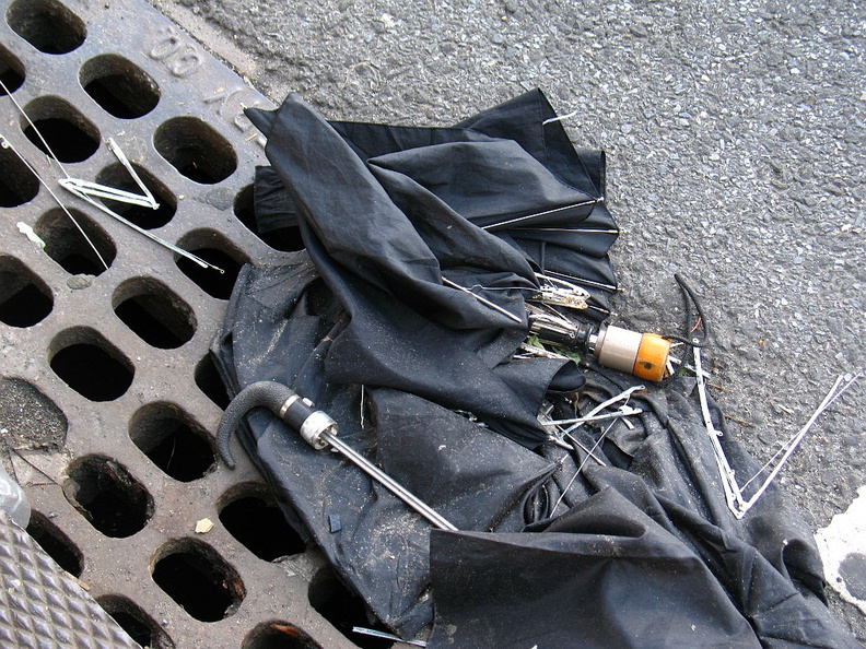 Discarded Umbrella Carcasses, NYC