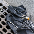 Discarded Umbrella Carcasses, NYC