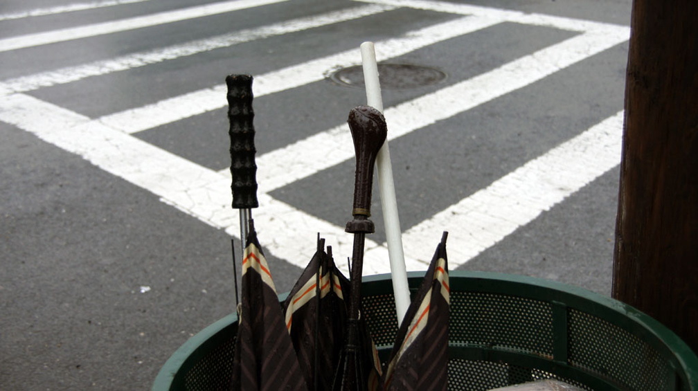 Discarded Umbrella Carcasses, NYC