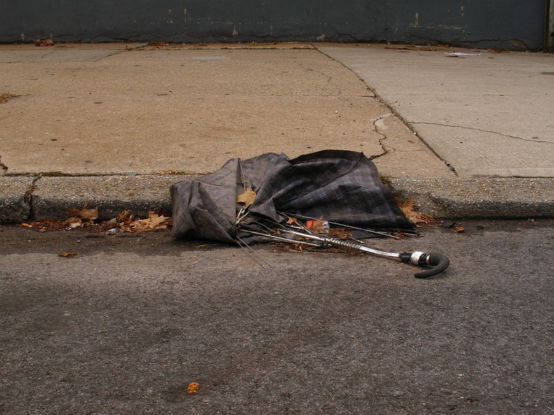 Discarded Umbrella Carcasses, NYC