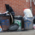 Discarded Umbrella Carcasses, NYC