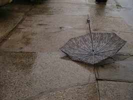 Discarded Umbrella Carcasses, NYC