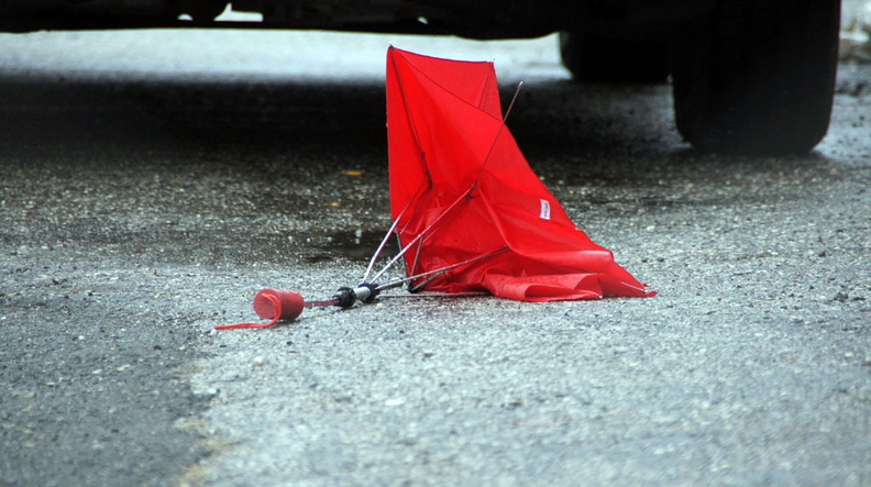 Discarded Umbrella Carcasses, NYC