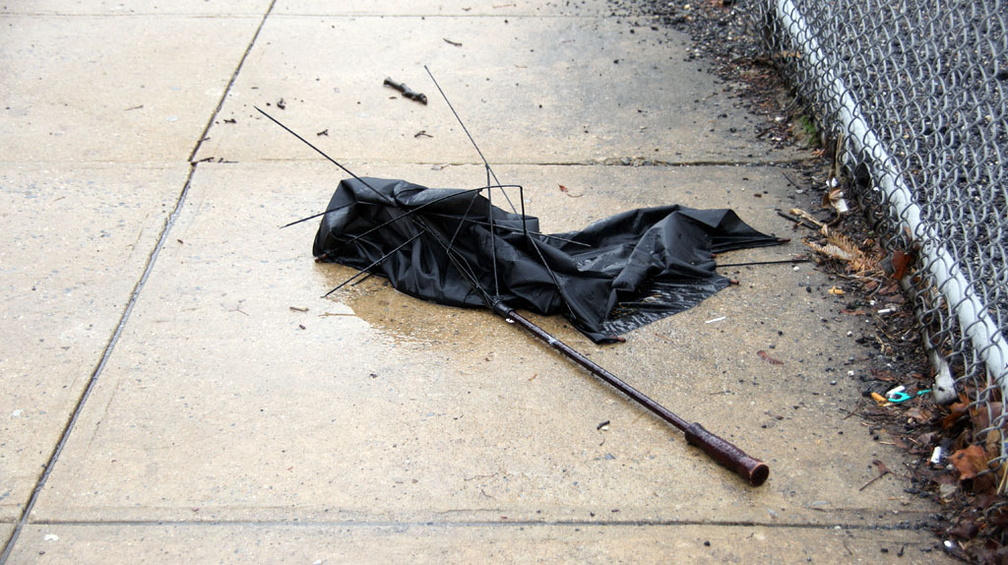 Discarded Umbrella Carcasses, NYC