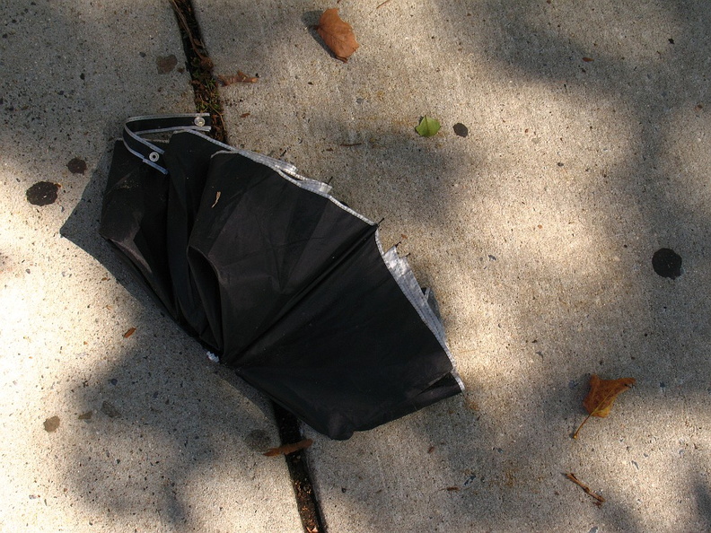 Discarded Umbrella Carcasses, NYC