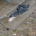 Discarded Umbrella Carcasses, NYC