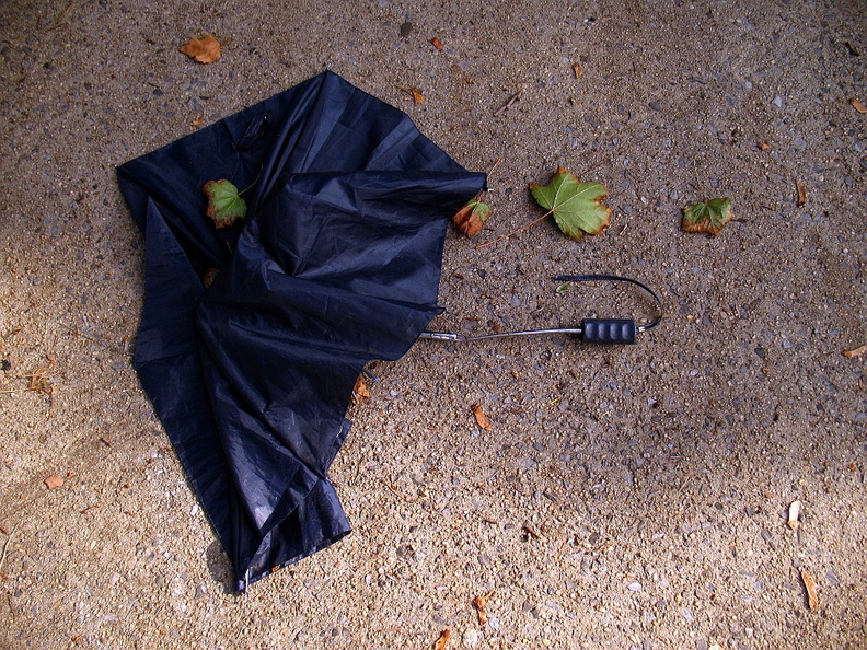 Discarded Umbrella Carcasses, NYC