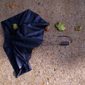 Discarded Umbrella Carcasses, NYC