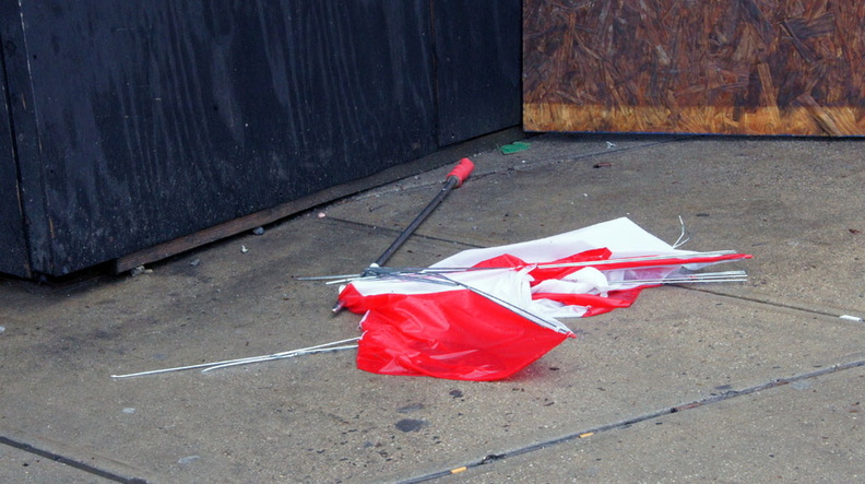 Discarded Umbrella Carcasses, NYC