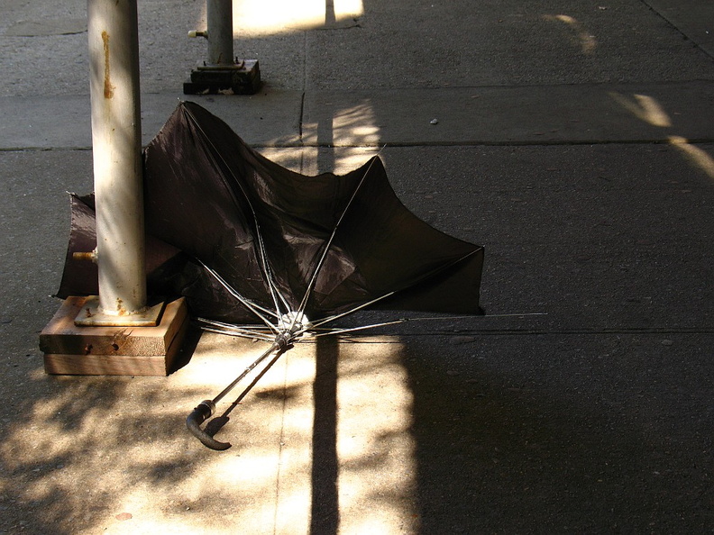 Discarded Umbrella Carcasses, NYC