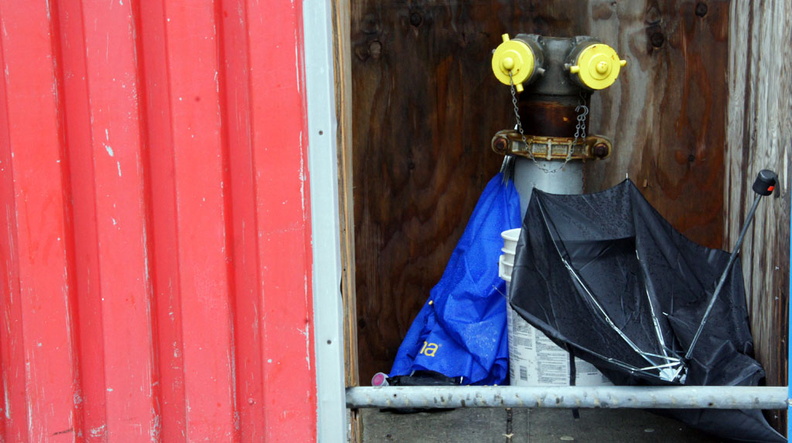 Discarded Umbrella Carcasses, NYC