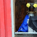 Discarded Umbrella Carcasses, NYC