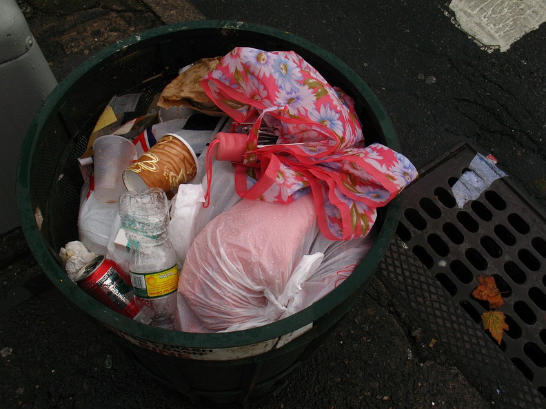 Discarded Umbrella Carcasses, NYC