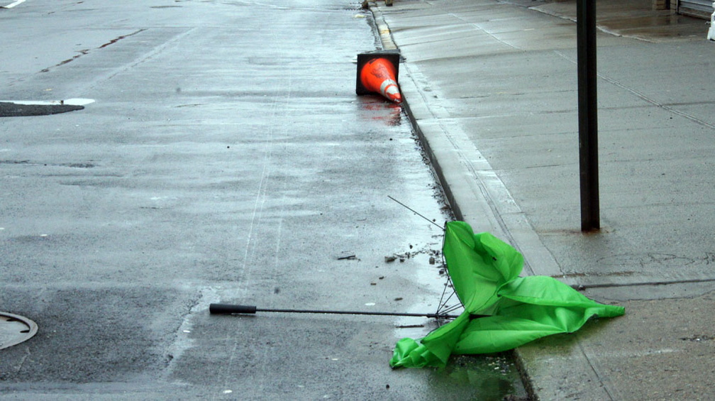 Discarded Umbrella Carcasses, NYC