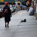 Discarded Umbrella Carcasses, NYC