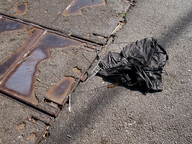 Discarded Umbrella Carcasses, NYC