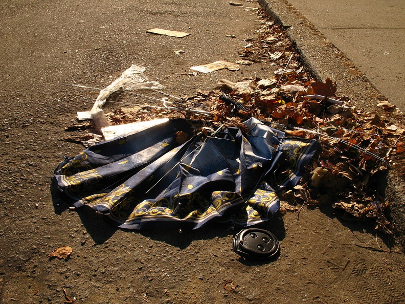 Discarded Umbrella Carcasses, NYC