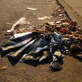 Discarded Umbrella Carcasses, NYC