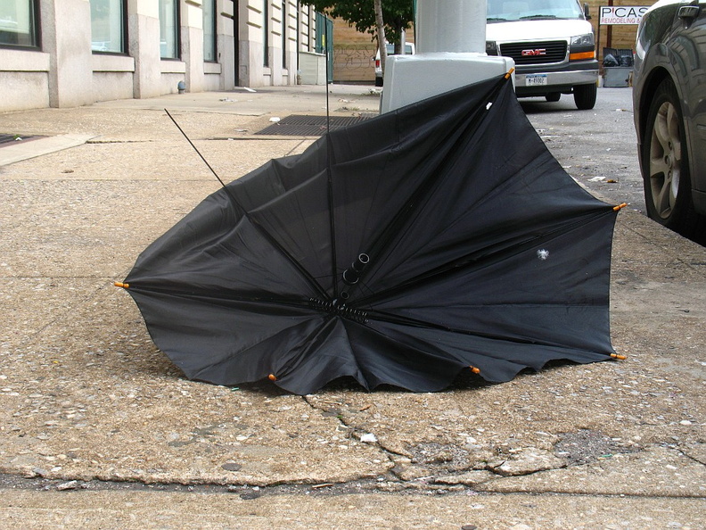 Discarded Umbrella Carcasses, NYC