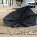 Discarded Umbrella Carcasses, NYC