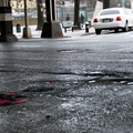 Discarded Umbrella Carcasses, NYC