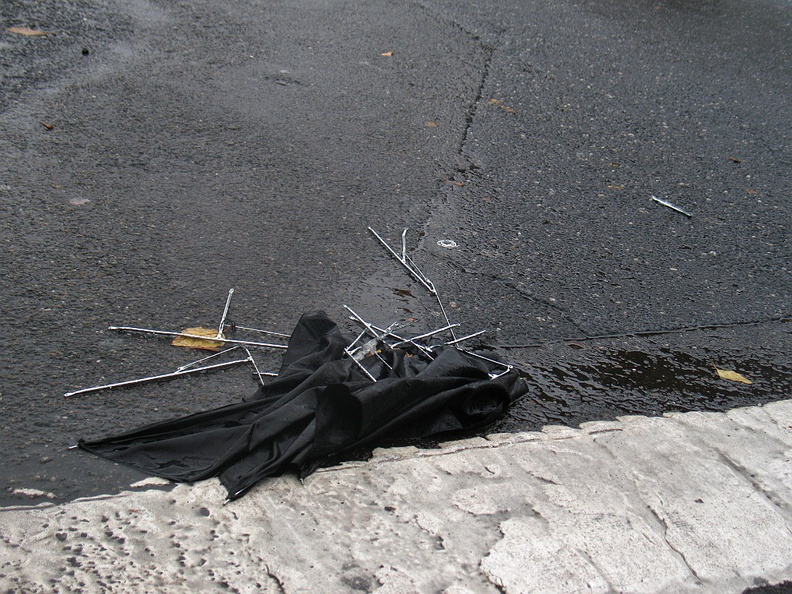 Discarded Umbrella Carcasses, NYC