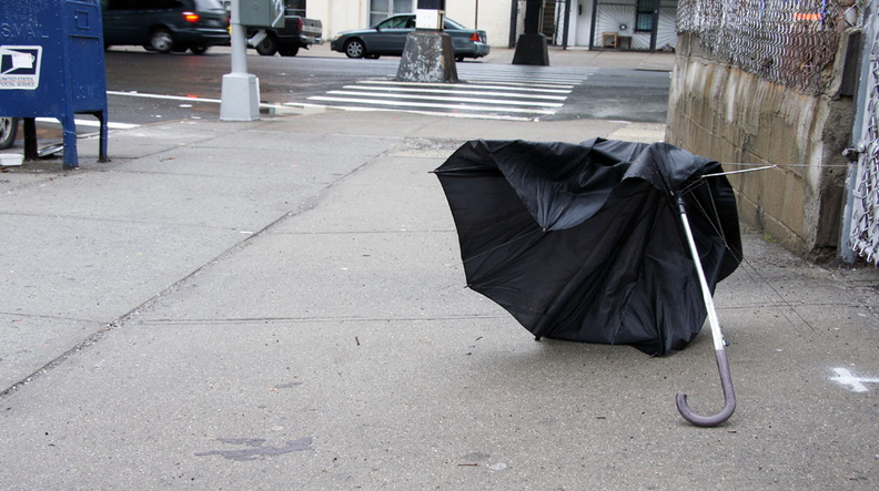 Discarded Umbrella Carcasses, NYC