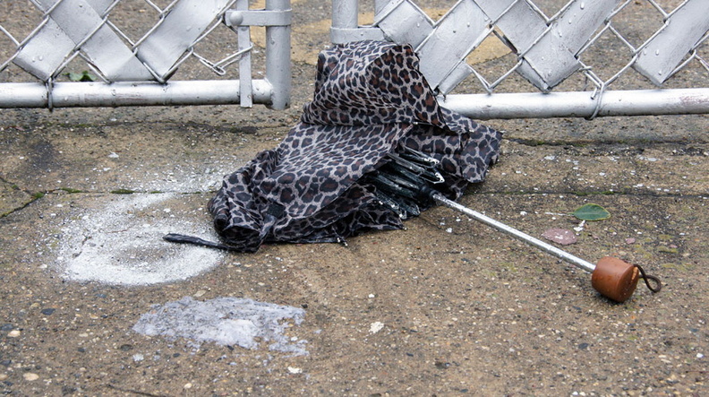 Discarded Umbrella Carcasses, NYC