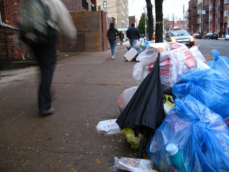 Discarded Umbrella Carcasses, NYC