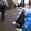 Discarded Umbrella Carcasses, NYC